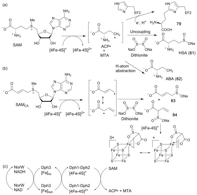 Fig. 33