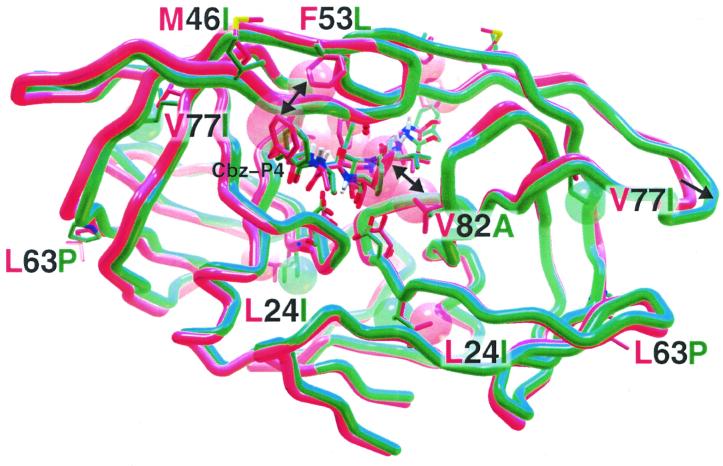 FIG. 3