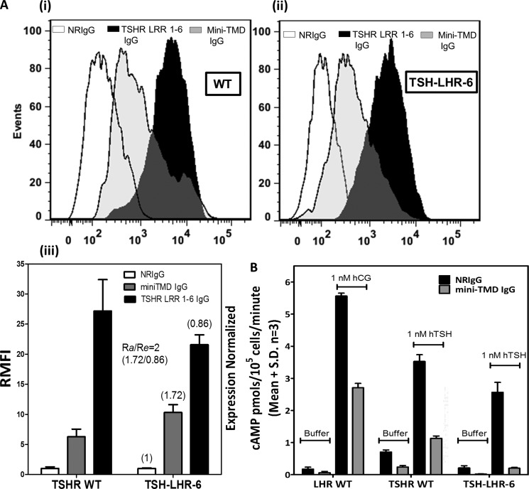 FIGURE 10.