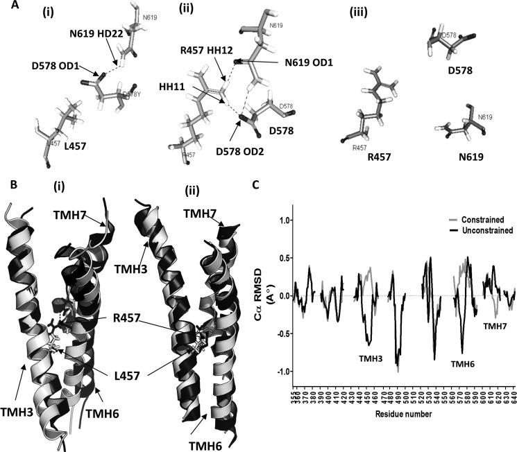 FIGURE 11.