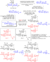Scheme 8