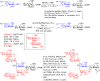 Scheme 4