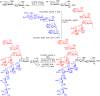 Scheme 6