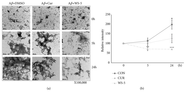 Figure 5