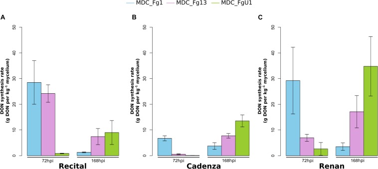 FIGURE 4