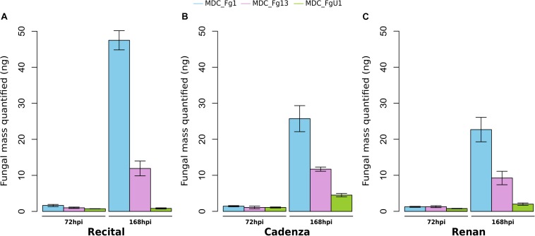 FIGURE 3