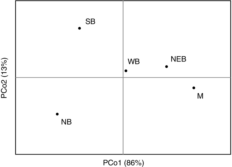 Fig. 8