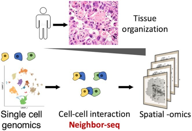 Graphical Abstract