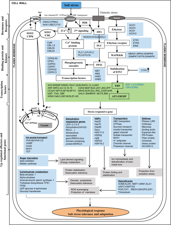 Figure 11