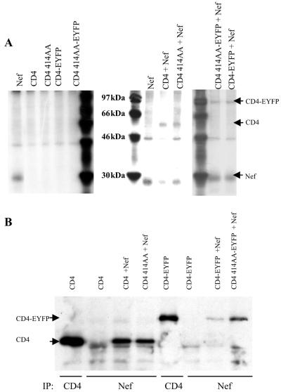 FIG. 5.