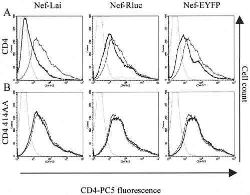 FIG. 2.