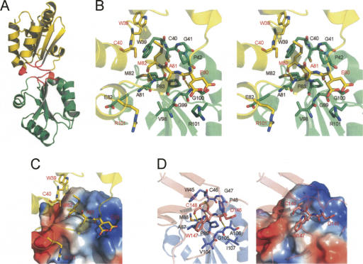 Figure 5.