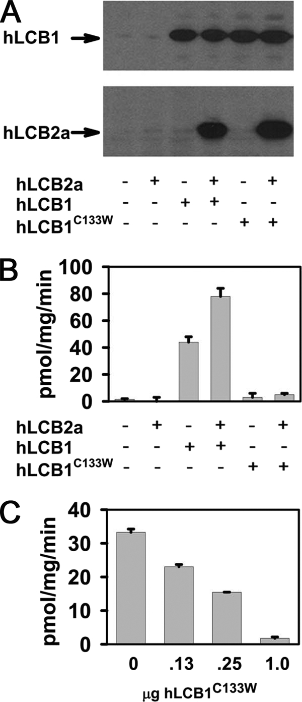 FIGURE 1.