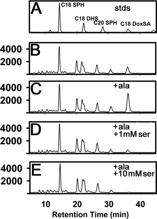 FIGURE 5.