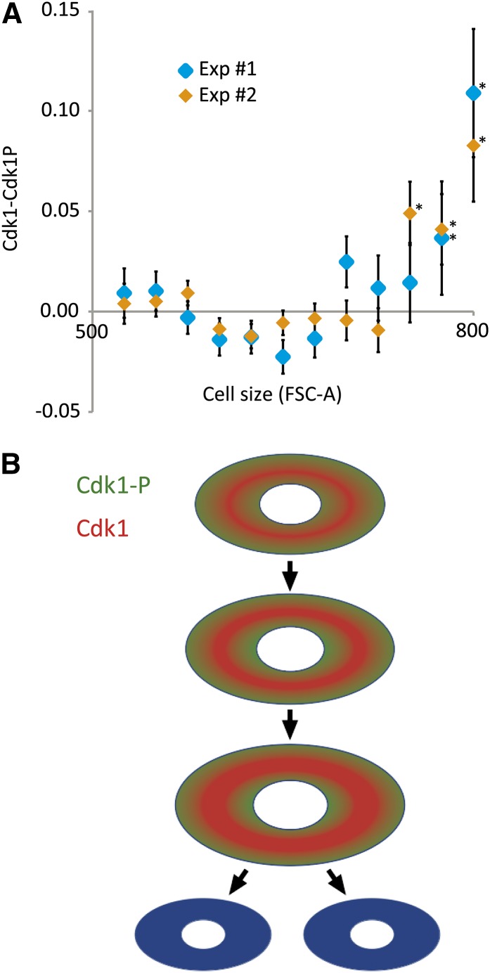 Figure 7 