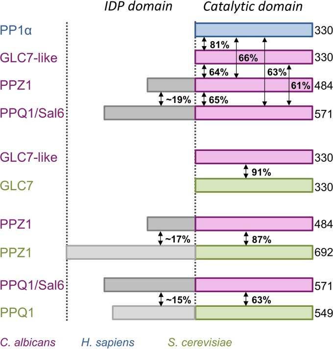 FIG 1 