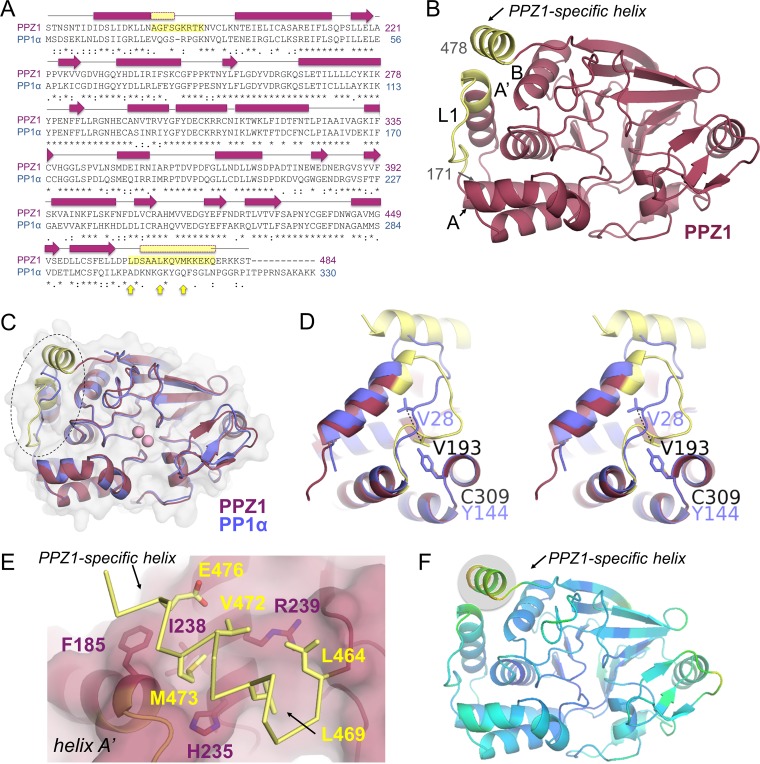 FIG 2 