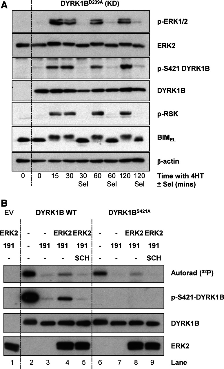 Fig. 5