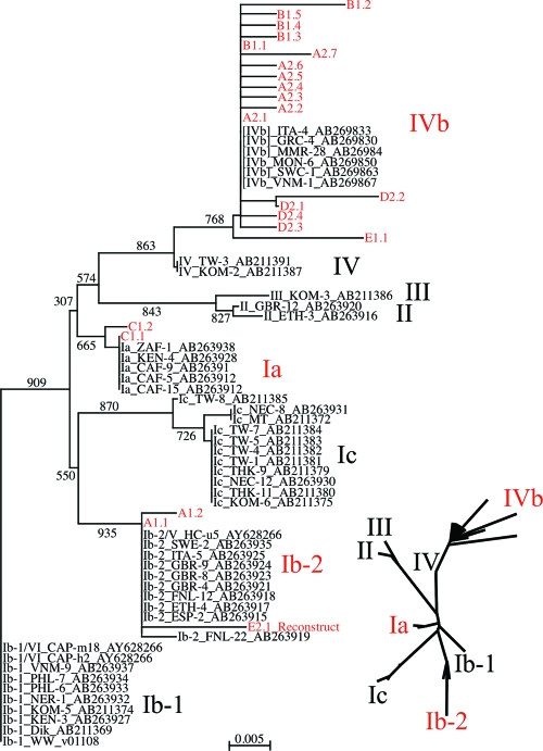 FIG. 3.