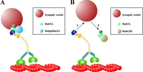 FIGURE 7.