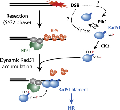 Figure 7