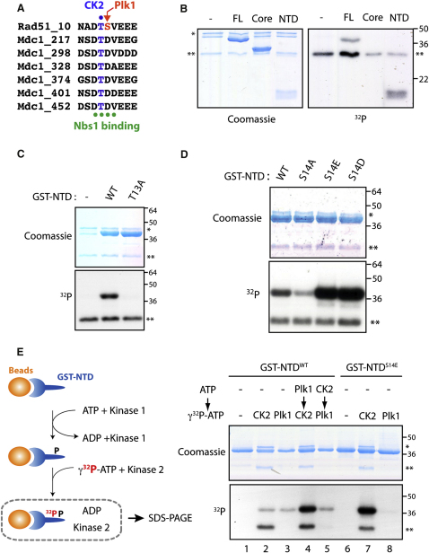 Figure 3