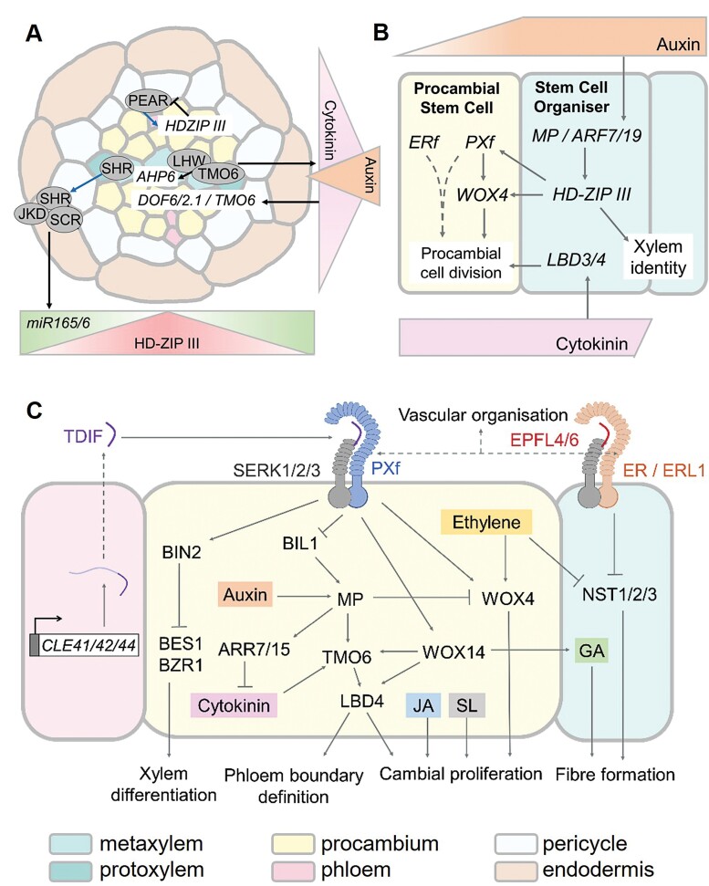 Fig. 2.