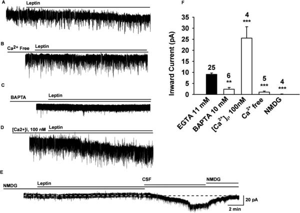 Fig.1