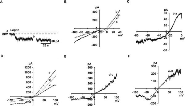 Fig.2