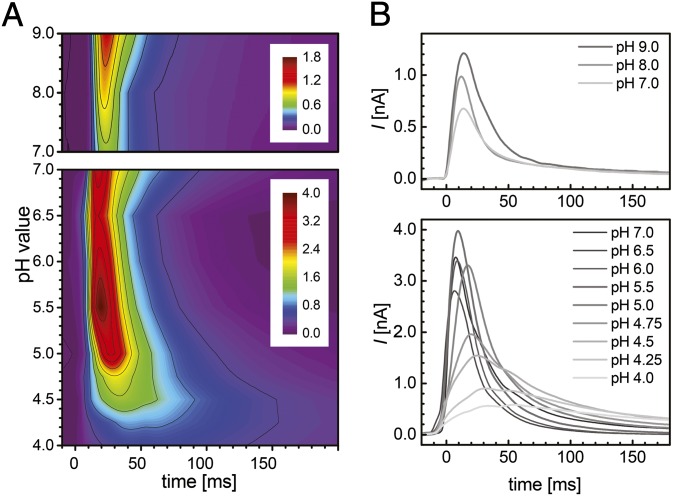 Fig. 4.