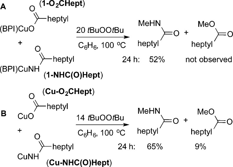 Scheme 12