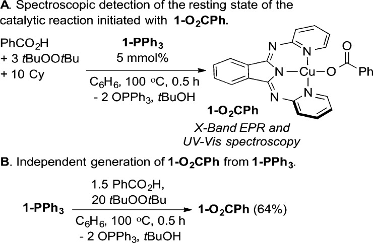 Scheme 4