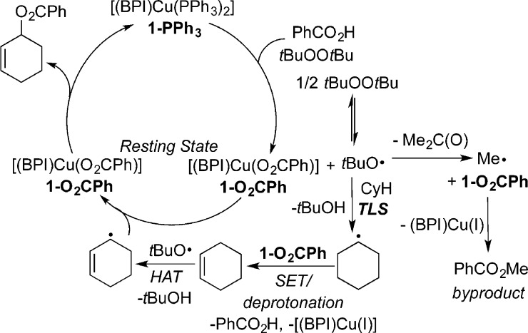 Scheme 20