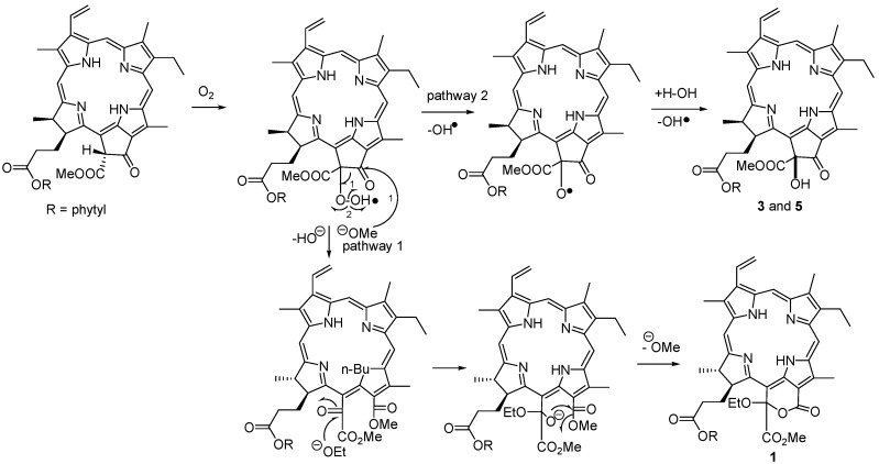 Scheme 1