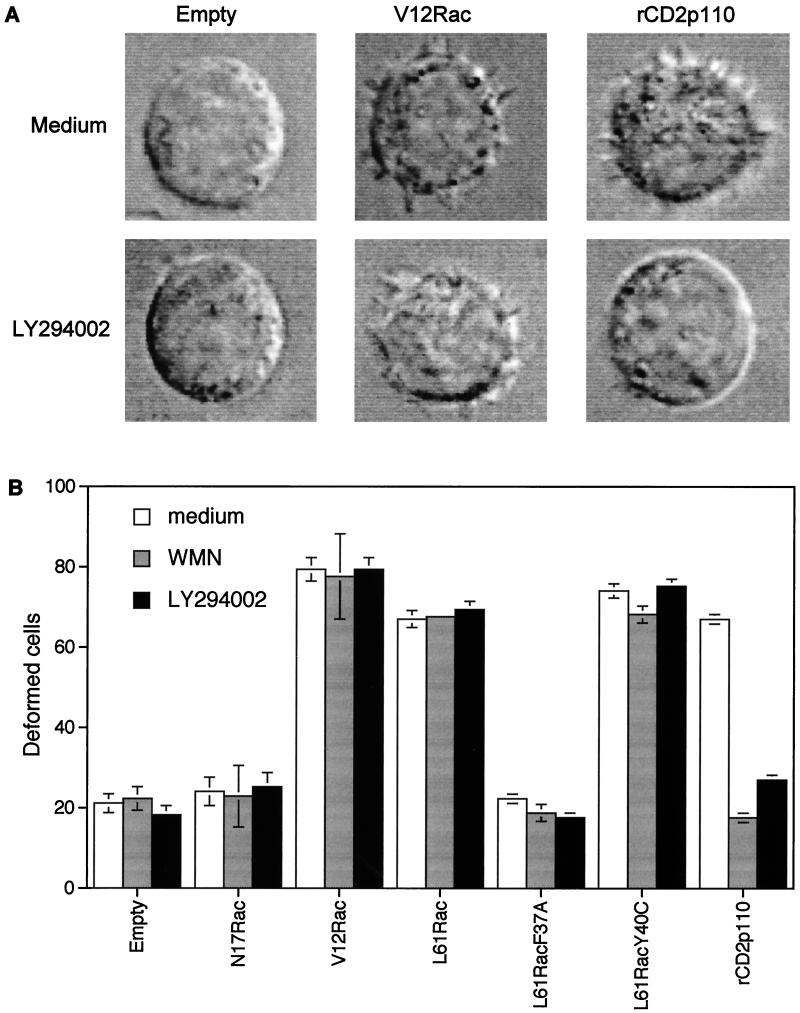 FIG. 8