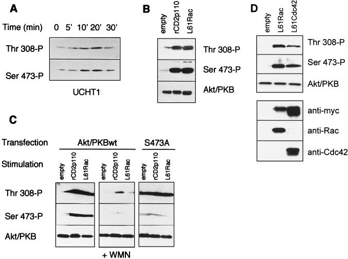 FIG. 7