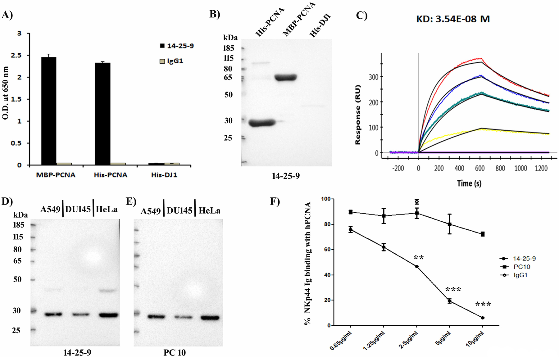 FIGURE 1.