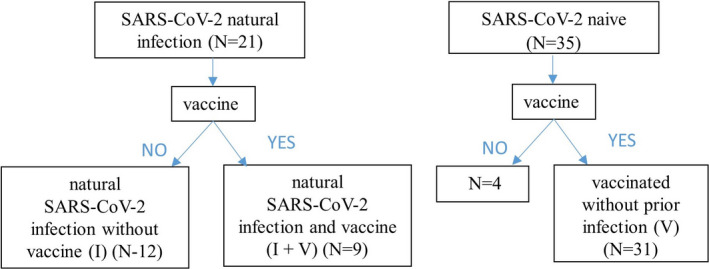 FIGURE 1