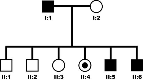 Figure  1. 