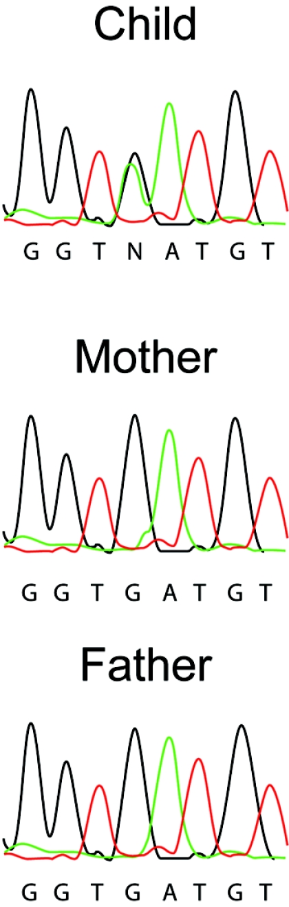 Figure  5. 