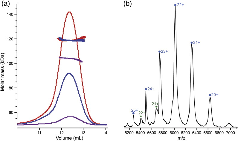 Fig. 8