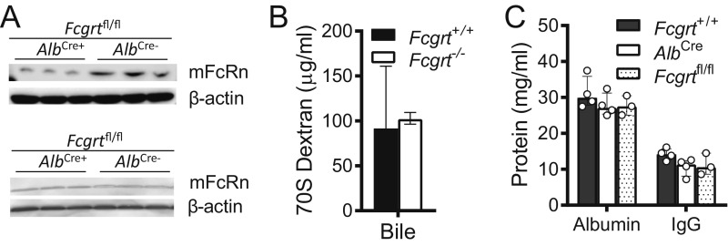 Fig. S1.