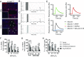 Fig. S3.