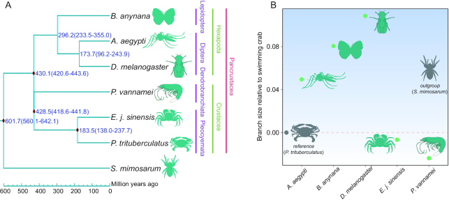 Figure 5: