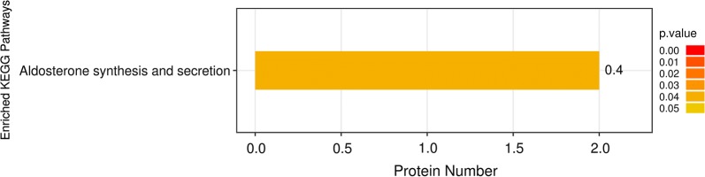 Fig. 4