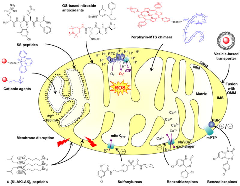 Fig 1