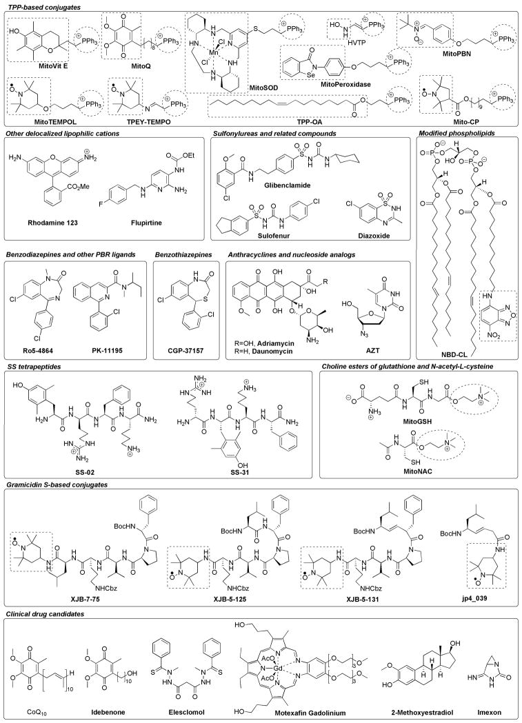 Fig 2