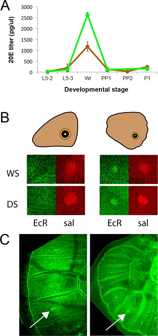 Fig 4