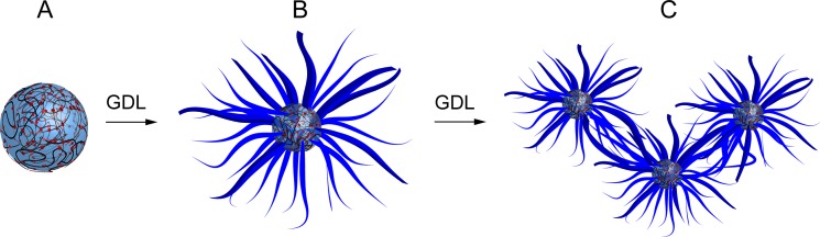 Fig. 1