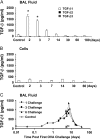 <b>Figure 1.</b>